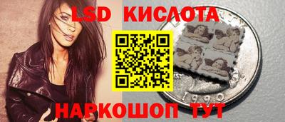 ешки Кингисепп