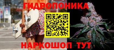 эйфоретик Кимры