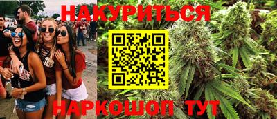 ешки Кингисепп