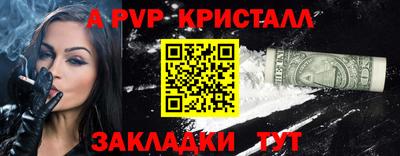 ешки Кингисепп