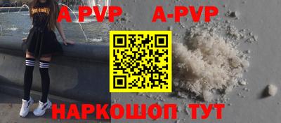 ешки Кингисепп