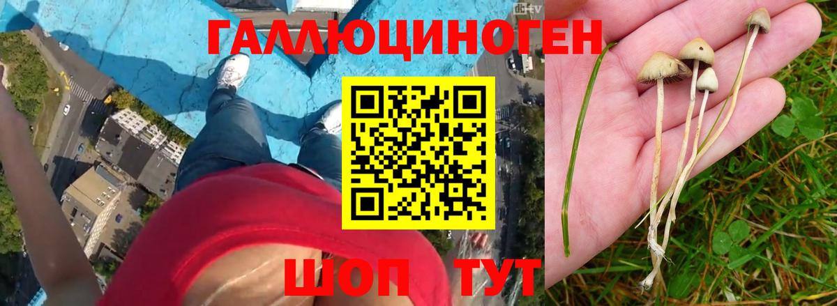 Галлюциногенные грибы Cubensis Верхняя Салда